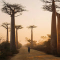 Madagascar eSIM