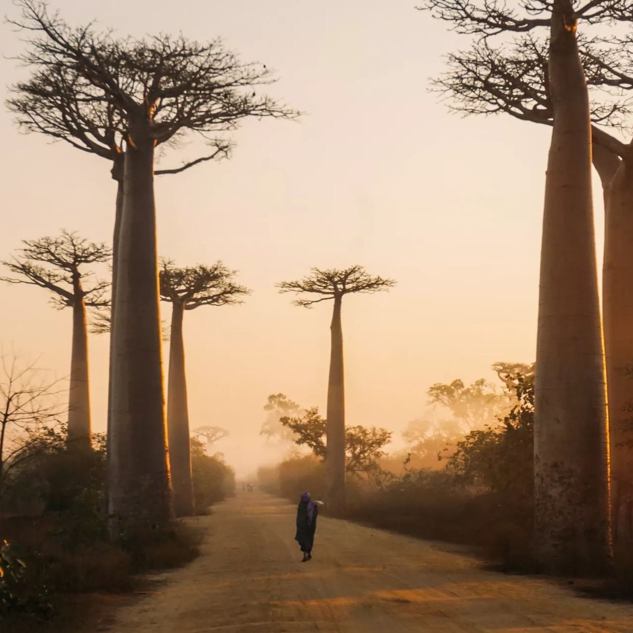 Madagascar eSIM
