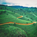 Sri Lanka eSIM
