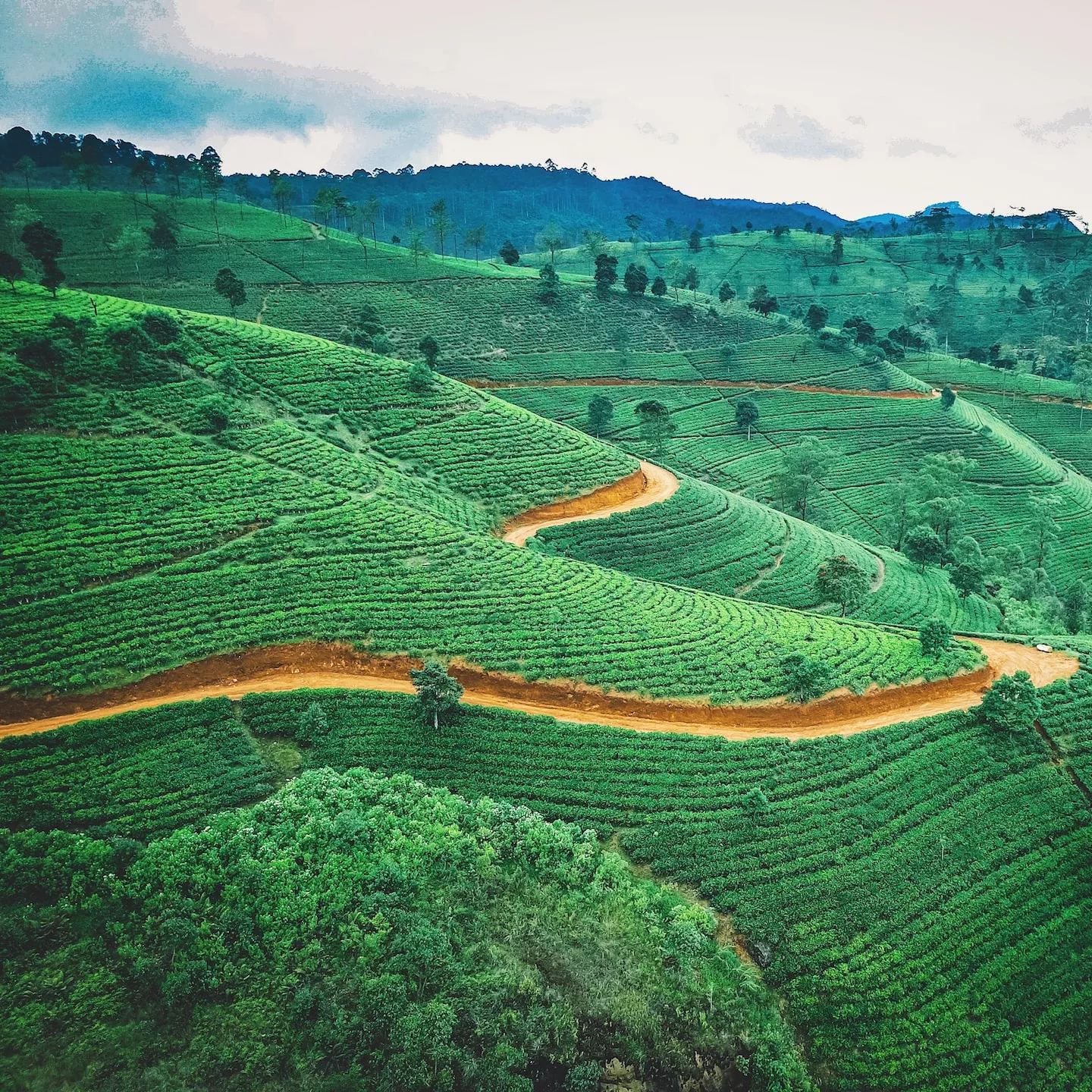 Sri Lanka eSIM