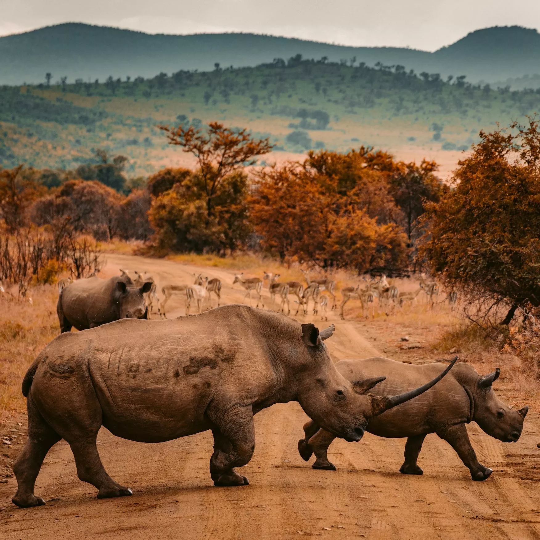 South Africa eSIM