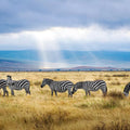 Tanzania eSIM