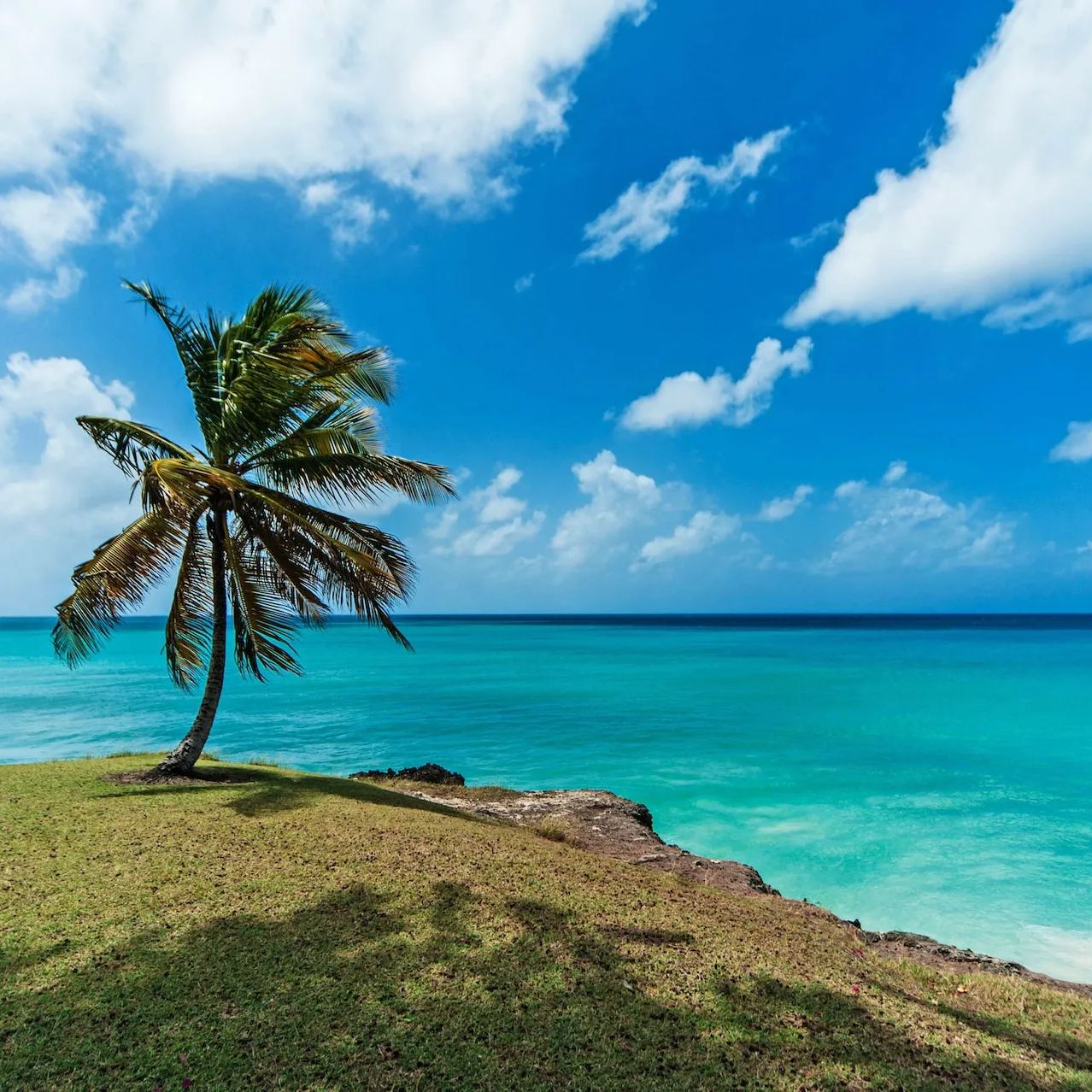 Barbados eSIM