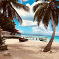 Haiti eSIM