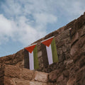 Palestine eSIM