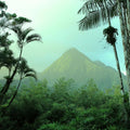 Martinique eSIM