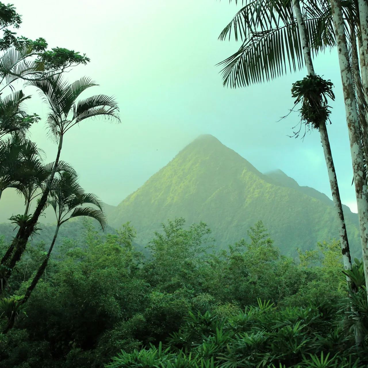 Martinique eSIM