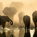Botswana eSIM