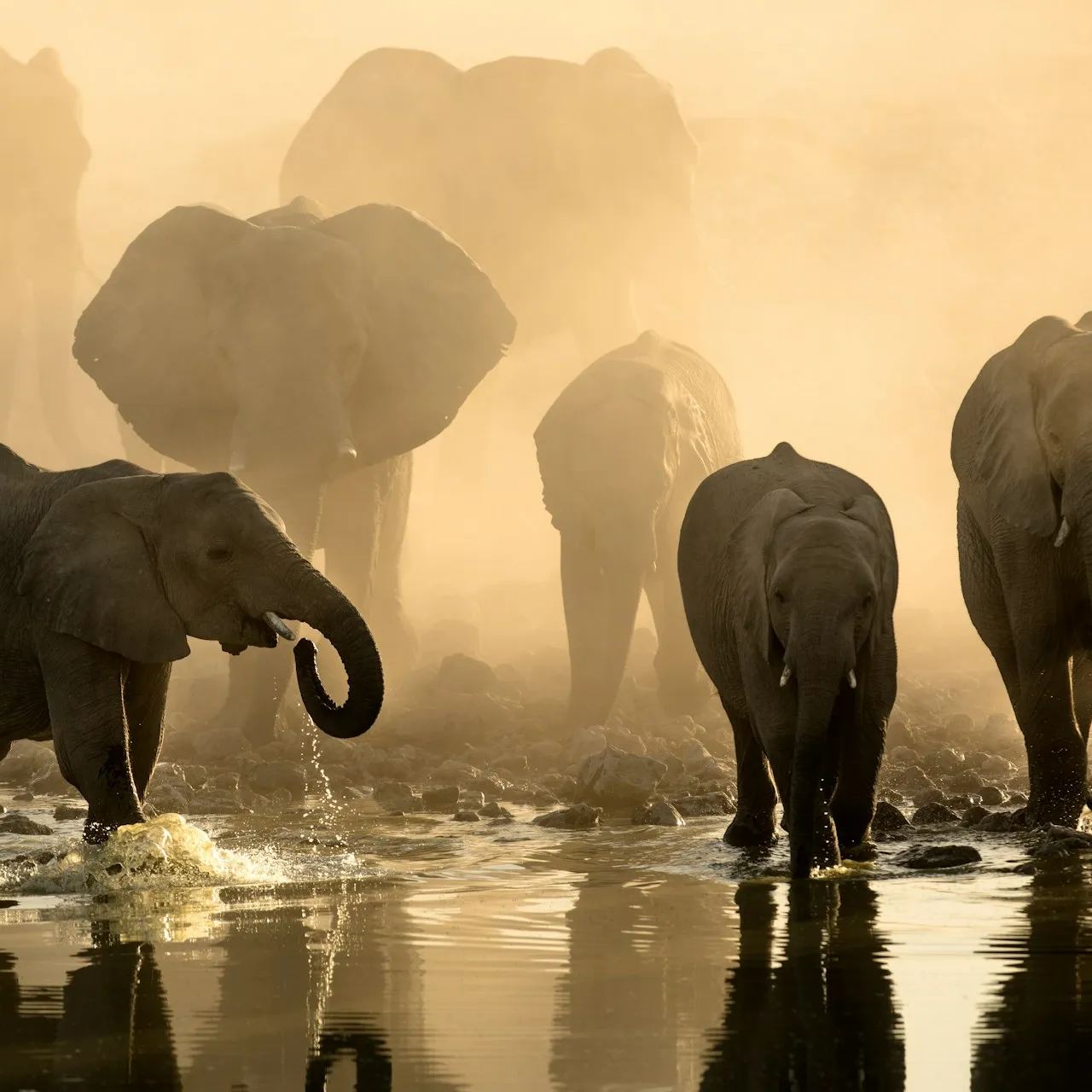 Botswana eSIM