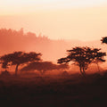 Rwanda eSIM