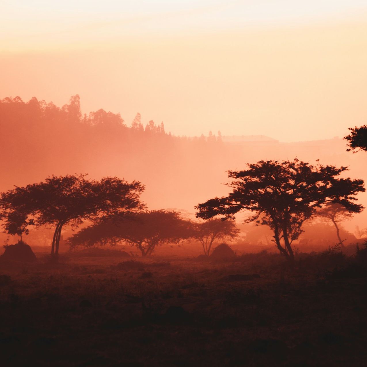 Rwanda eSIM